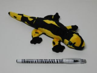 Obrázek z Mlok skvrnitý plyš 24cm(12) 